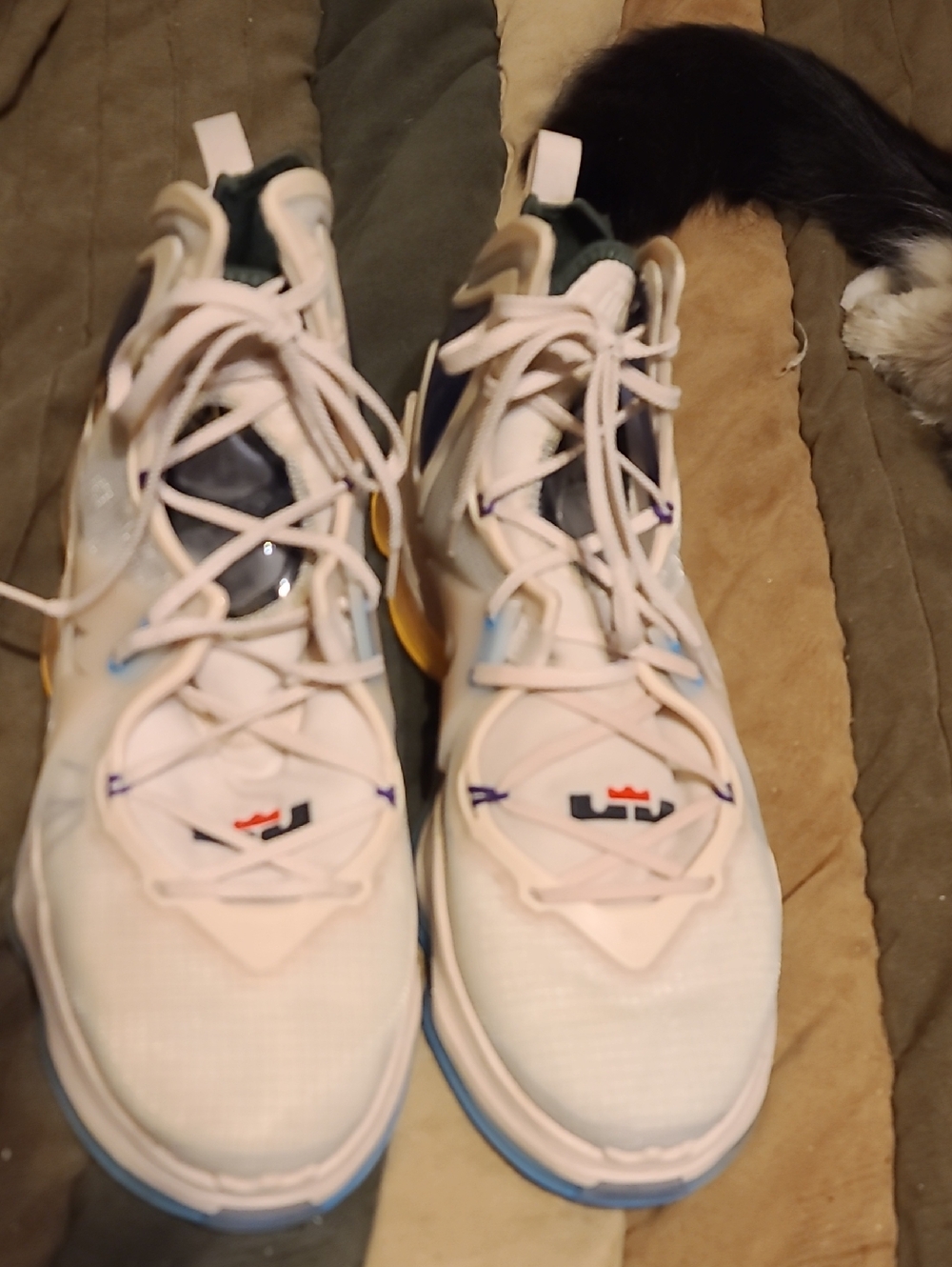 Nike LeBron 19